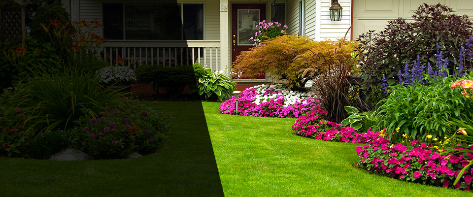 Dumont Landscapers