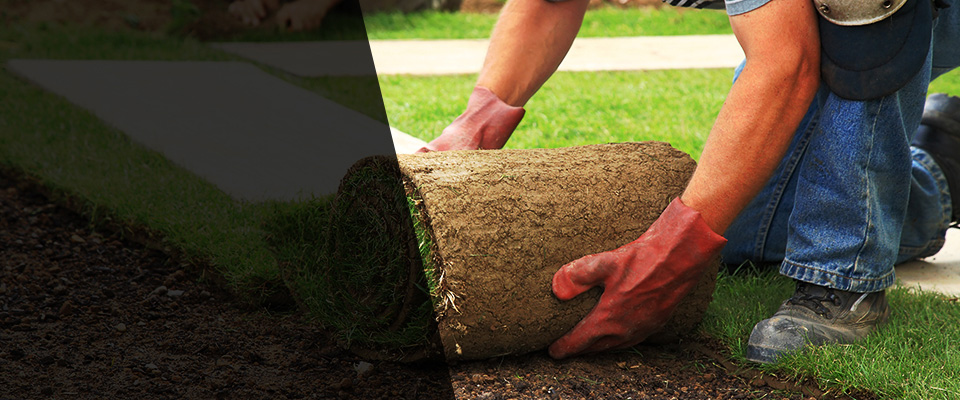 Dumont Landscapers